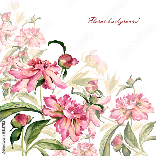 Fototapeta Naklejka Na Ścianę i Meble -   Floral background and Watercolor illustration of a bouquet of peonies with buds