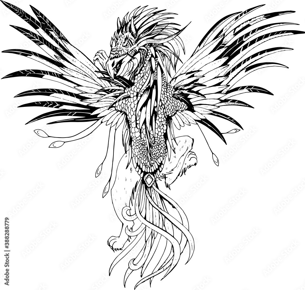 Obraz premium Gryphon Black and White Vector