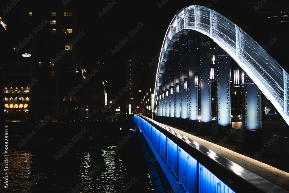 Obraz premium 隅田川にかかる橋