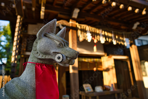 Fototapeta Naklejka Na Ścianę i Meble -  日本の稲荷神社