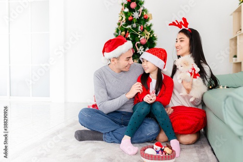 close up asian girl, asian family playing with shih tzu dog in relax time, they feeling happy and smile, child development and family activity, celebration in Christmas season