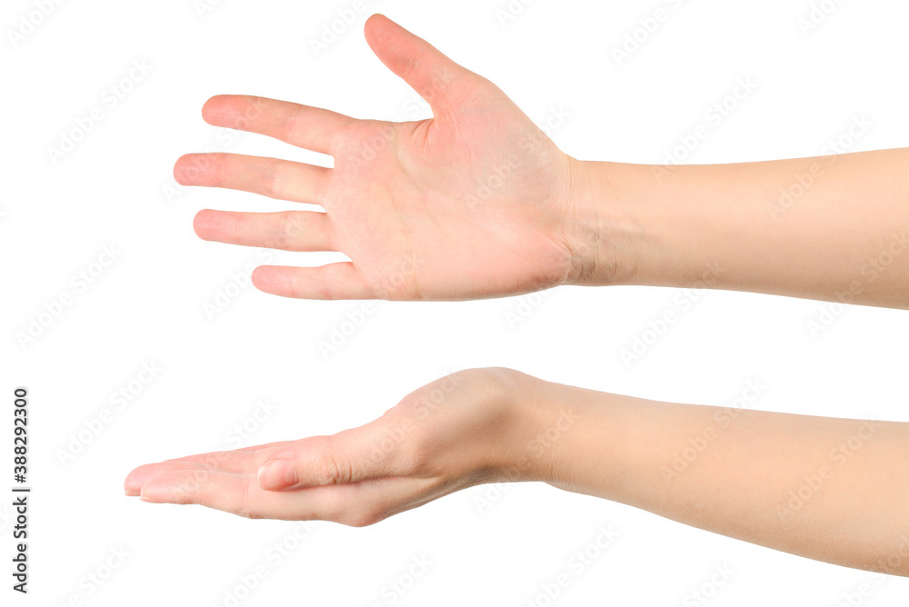 Woman hand isolated on white. Heart symbol.