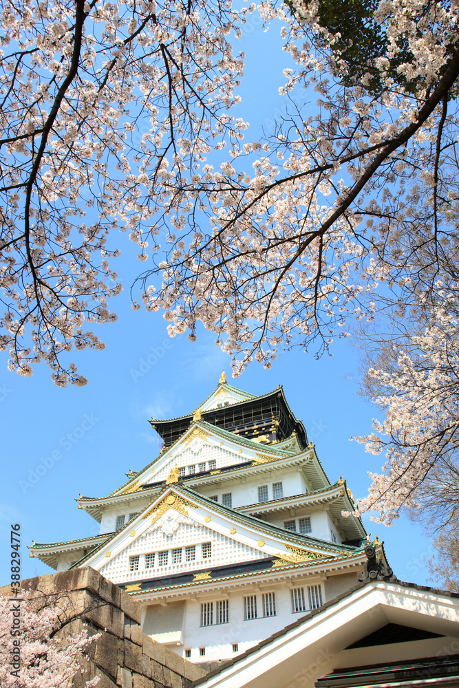 大阪城と桜