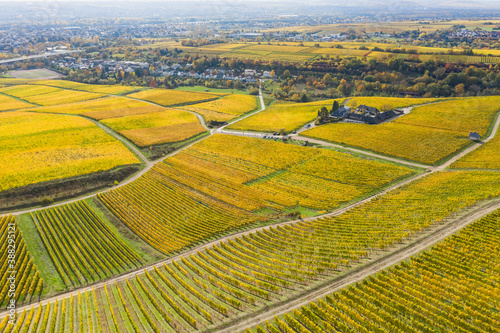  Bird's eye view of the beautiful autumnal colored vineyards near Rauenthal / Germany in the Rheingau