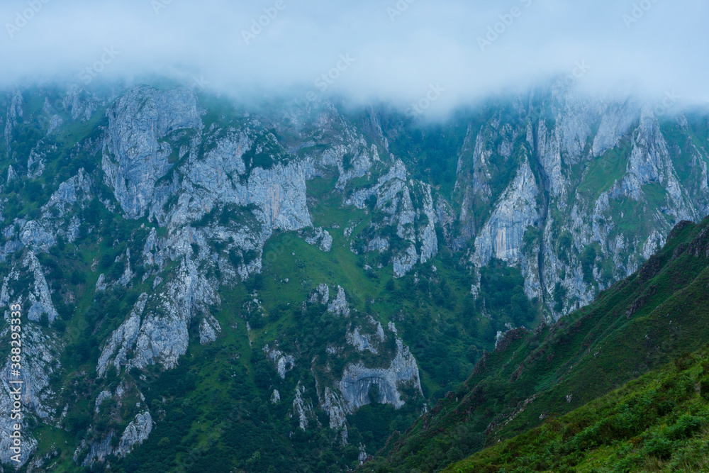 Casaño river valley, Picos de Europa, Asturias, Spain, Europe Casaño river valley, Picos de Europa, Asturias, Spain, Europe