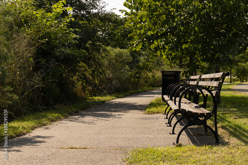 Path with an Empty Bench next to the Little Hell Gate Salt Marsh on Randalls and Wards Islands during Summer in New York City