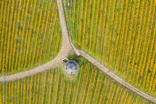 View vertically down on a vineyard house in the heavily discolored vineyards near Rauenthal / Germany in the Rheingau photo