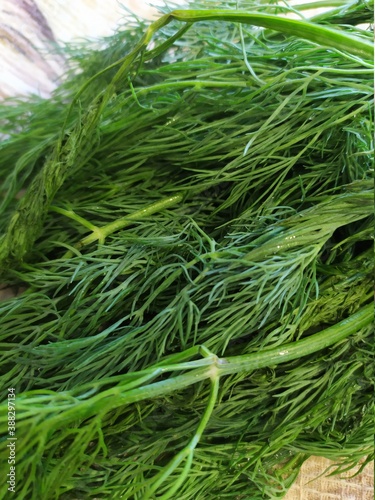 grass