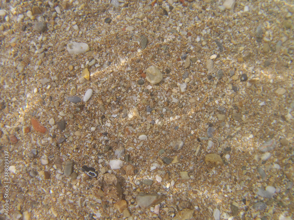 background from the bottom with small pebbles background from the bottom with small pebbles
