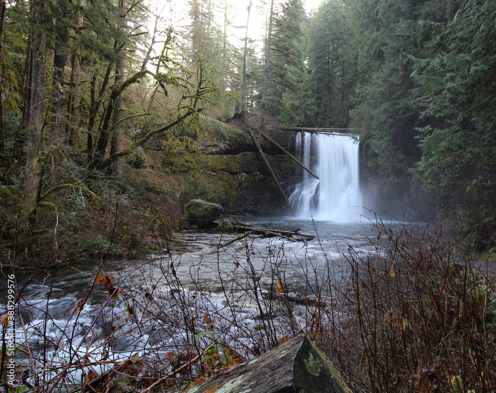 Obraz premium Upper North Falls in Silver Falls State Park, Oregon, USA.