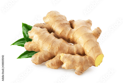 Ginger root with leaves isolated on white background   
