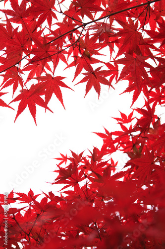 奈良、紅葉
