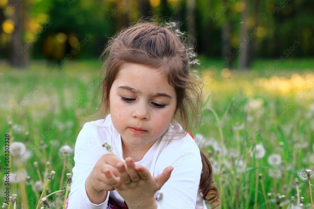 Portrait of seriousl little Girl is blowing dandelion flower in summer park. Happy cute child having fun outdoors. Portrait of seriousl little Girl is blowing dandelion flower in summer park. Happy cute child having fun outdoors.