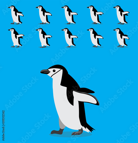 Animal Animation Sequence Chinstrap Penguin Cartoon Vector