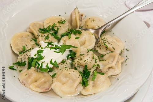 Close up view of delicious  ravioli with elk and wild boar meat with herbs and sour cream in restaurant.