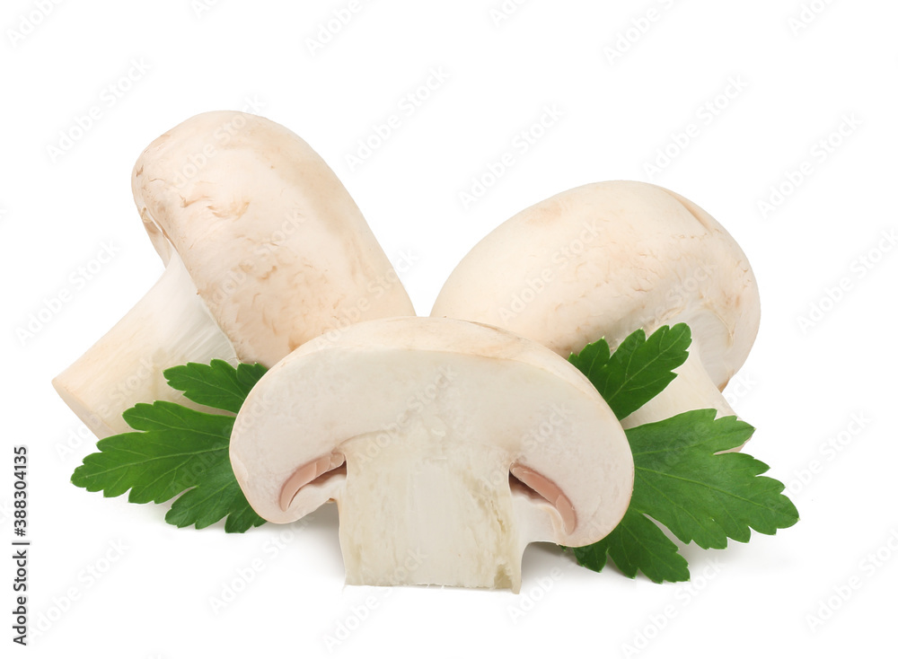 Fototapeta premium Mushrooms isolated on the white background