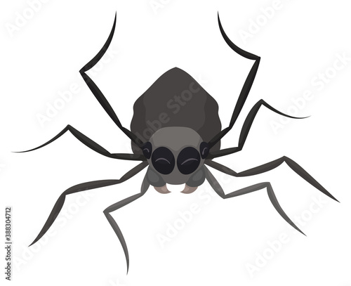 Gray Spider Celebrating with Happy Gesture, Vector Illustration
