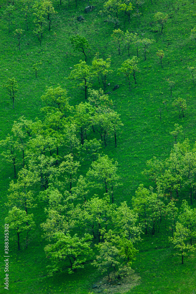 Obraz premium 狭霧台から見る草原