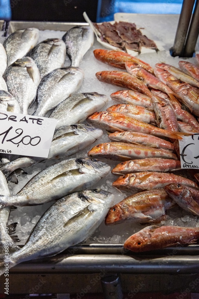 Obraz premium Fish market in Venice (Venezia), Italy; close up of sea bream, gilthead; Sparus aurata called Orata; mullet (Mugilidae)