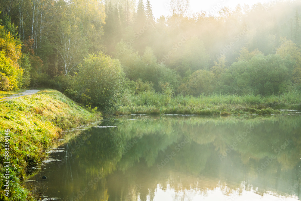 Fototapeta premium Beautiful calm lake and dark emerald forest ashore