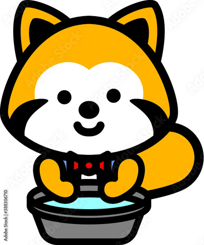 アライグマ