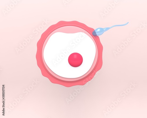 Fotografia Ovule with sperm, female fertility cell