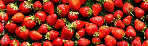 red fresh strawberries on green grass, close view