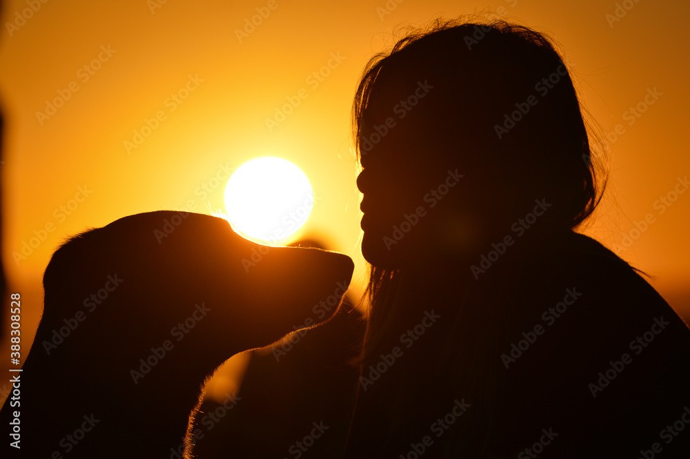 woman and dog together in the sunset and the sun shining behind