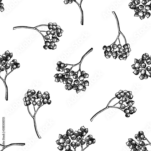 Seamless pattern with black and white rosemary everlasting