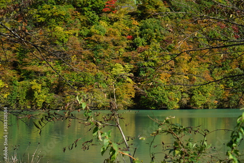 Autumn colorful foliage. mountains have 3 different colors made by nature, white, red, green. 