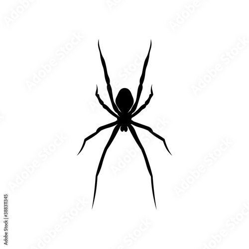 Black spider silhouette. Scary big spider isolated on white background. Arachnophobia, spider vector icon.