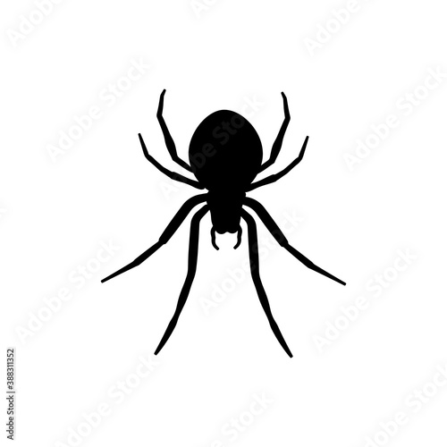 Black spider silhouette. Scary big spider isolated on white background. Arachnophobia, spider vector icon.