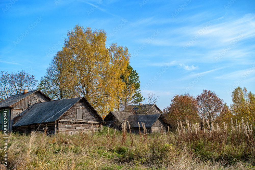 Old, ramshackle village houses among dry, autumn grass. Gold autumn.