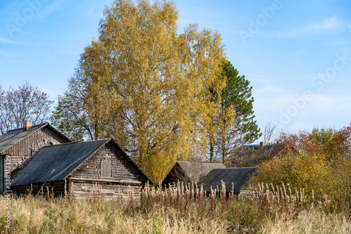 Fotografia Old, ramshackle village houses among dry, autumn grass