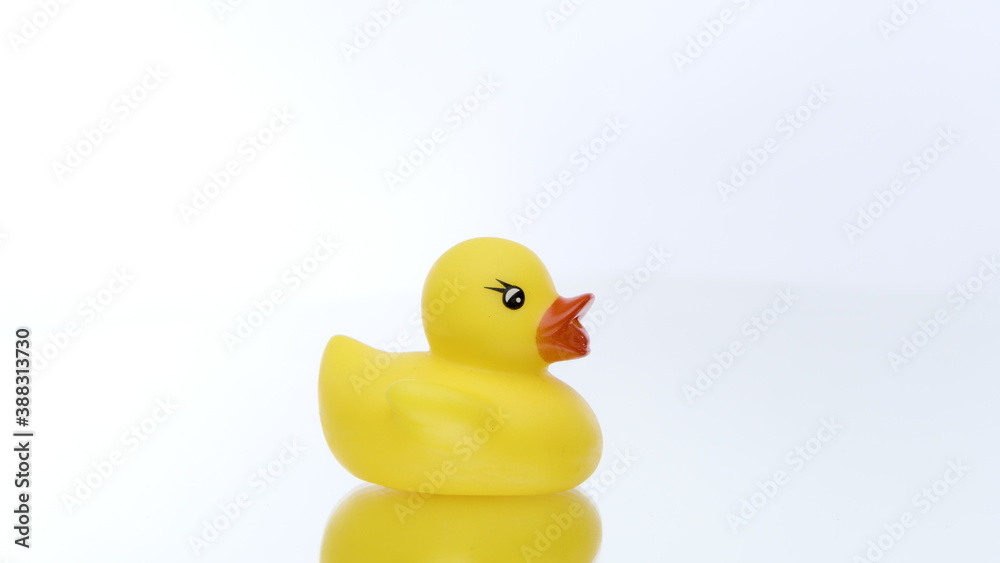 One mini yellow rubber duck rotating on isolated white background. Duck bath toy for baby shower in motion, child fun joy, kids game concept. Copy text space One mini yellow rubber duck rotating on isolated white background. Duck bath toy for baby shower in motion, child fun joy, kids game concept. Copy text space
