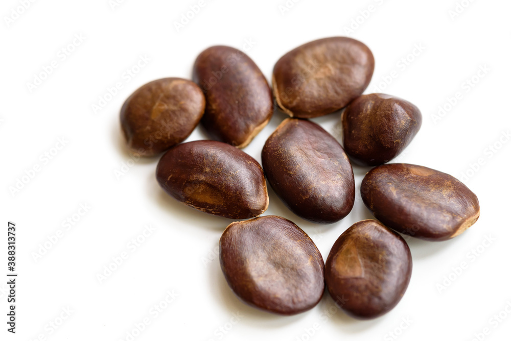 pawpaw seeds, on a white background pawpaw seeds, on a white background