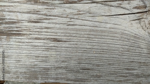 texture of wood