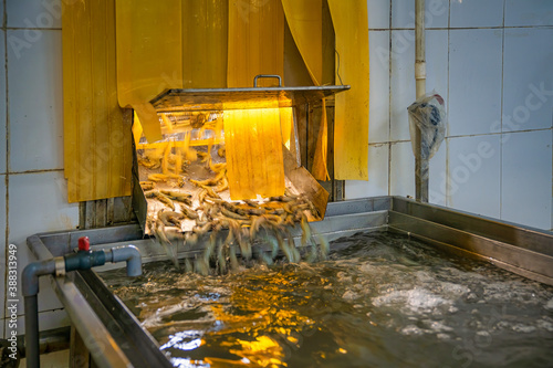 Process shrimp at factory in Vietnam photo