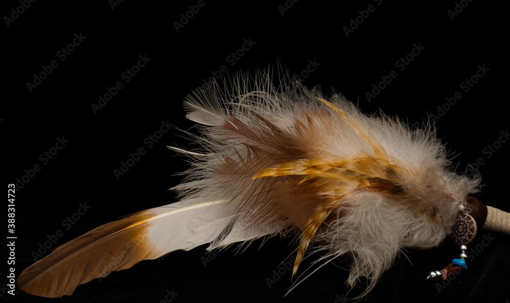 Obraz premium Feather on Black