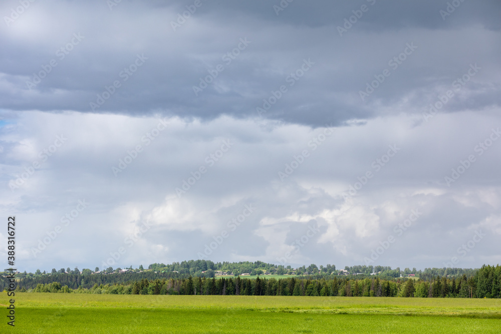 Summer landscape with green field and clouds in the sky
