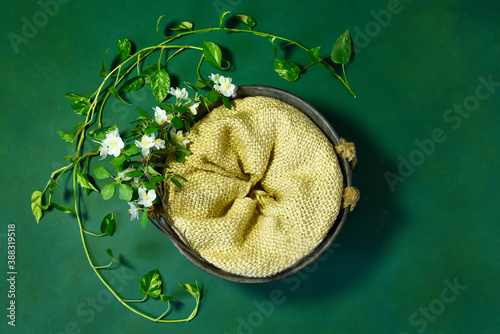 newborn green background with metal bucket, white flowers and leafs