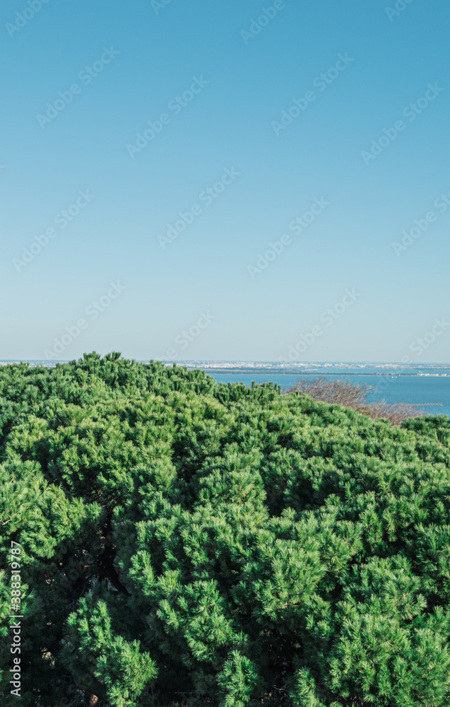 Vistas de Lisboa desde el mirador del barrio de Alfama