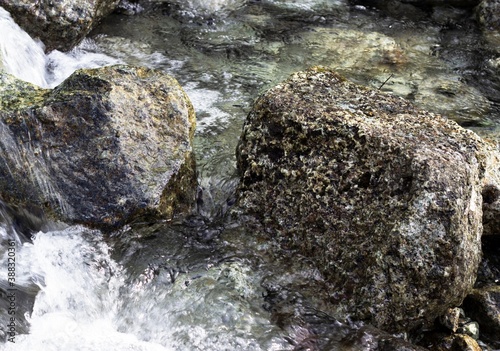 a stormy mountain river flows among large rocks photo