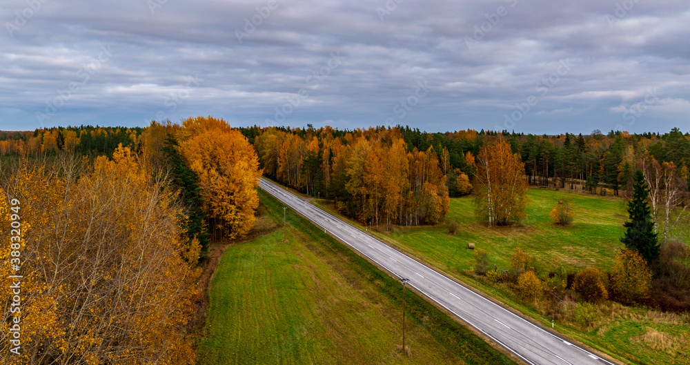 View of the autumn highway from the observation tower