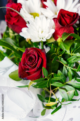 Bouquet of flowers bright red roses and white daisies  macro photo floristry  shop advertising and flower delivery bouquets  rosebud with drops of dew water freshness