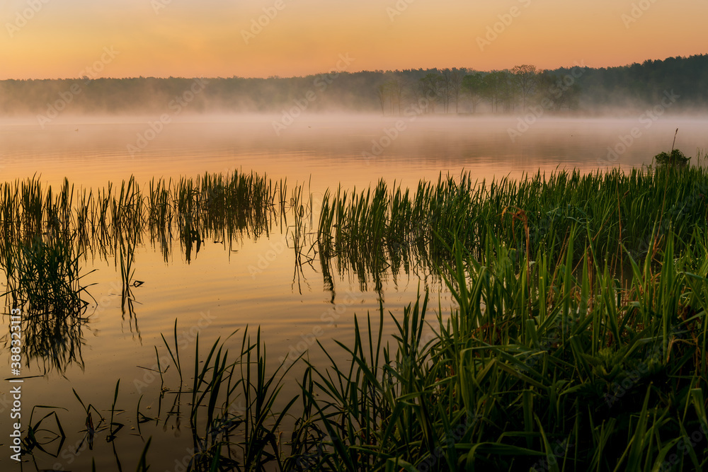 beautiful sunrise at Lake Zemborzycki in Lublin beautiful sunrise at Lake Zemborzycki in Lublin