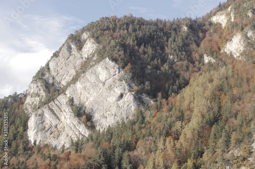 Natur, Landschaft, Herbst, Baum , Blätter , Schweiz, Wald, Reisen, Tourismus, Park , Grün, Travelling, Travel, Autmn, Autnm, Trip, Tourism,Switzerland, forest, tree, landscape, valley Mountain, Berg photo