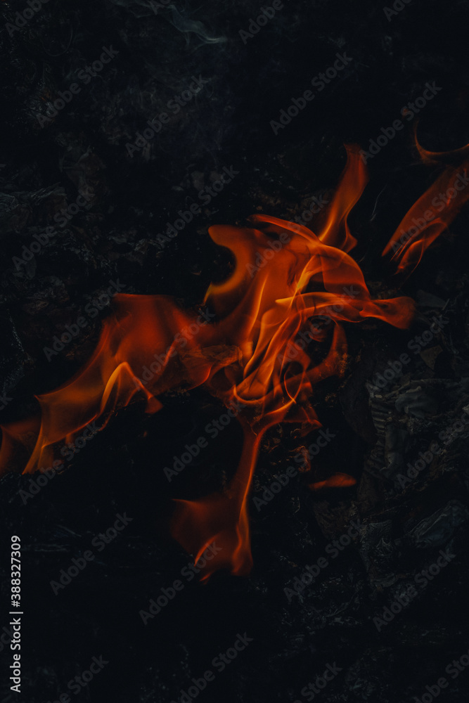 Fototapeta premium fire in the fireplace