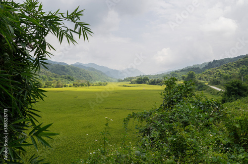 Rice Paddies in the Countryside in Laos