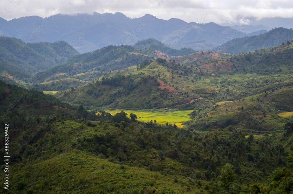 Rice Paddies among Hills in the Countryside in Laos